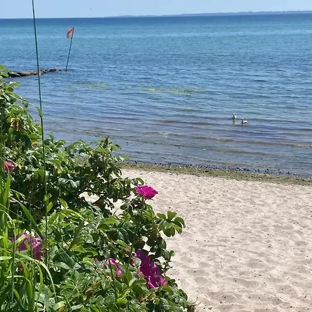 Wellness Ferienhaus Meerjungfrau inklusive Infrarotsauna und Strandkorb am Strand *