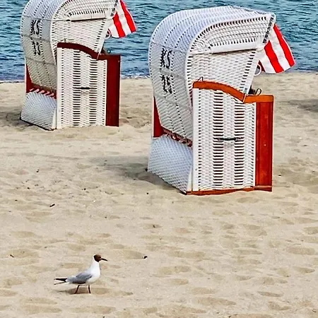 Ferienhaus Wellness Ferienhaus Meerjungfrau inklusive Infrarotsauna und Strandkorb am Strand Scharbeutz